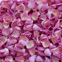 Petals and Roses 1075744 Image 7
